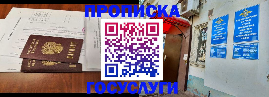 прописка в квартире в Курской области